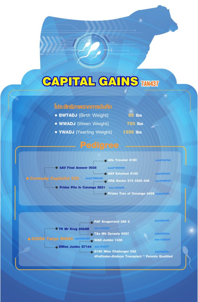 CapitalGainsDetail2