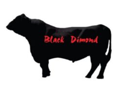 blackDimond