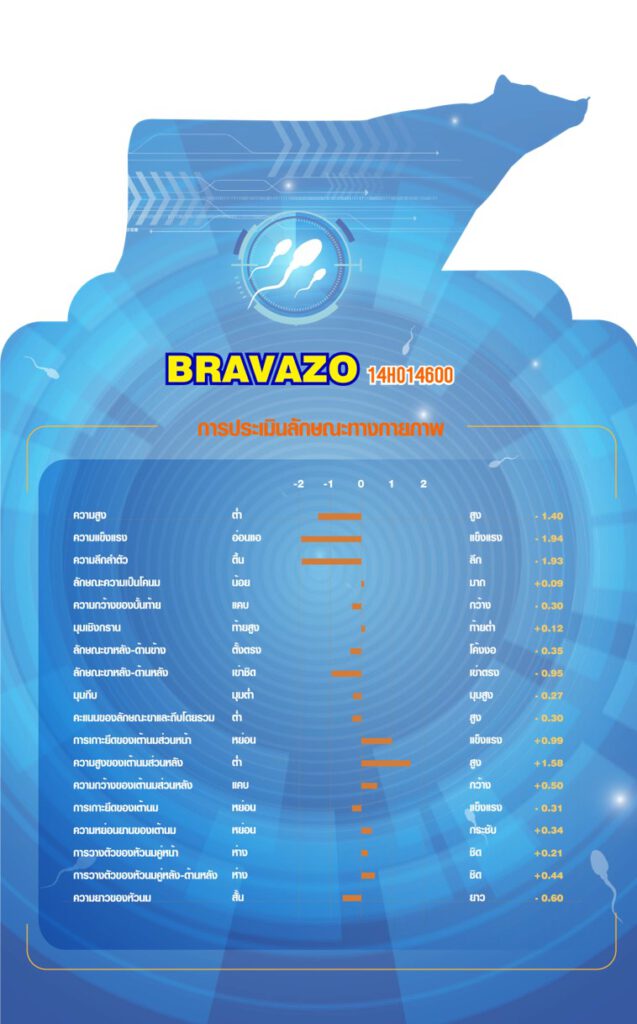 bravazo-detail2