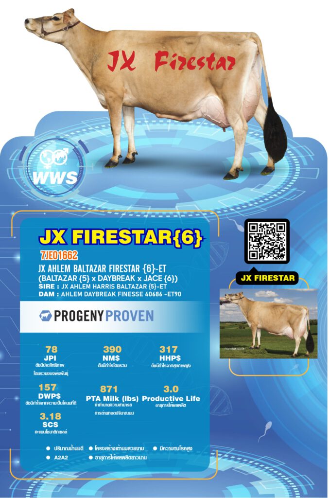 jx-firestardetail1