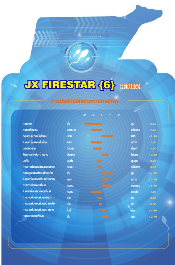 jx-firestardetail2