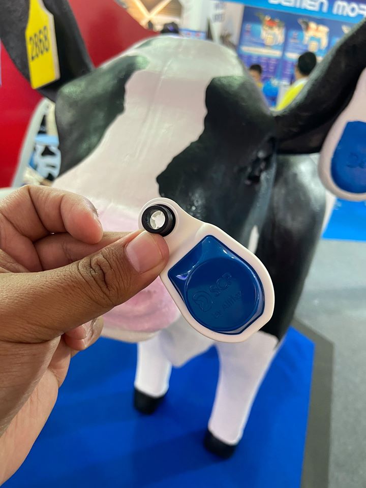 true digital cow ear tag