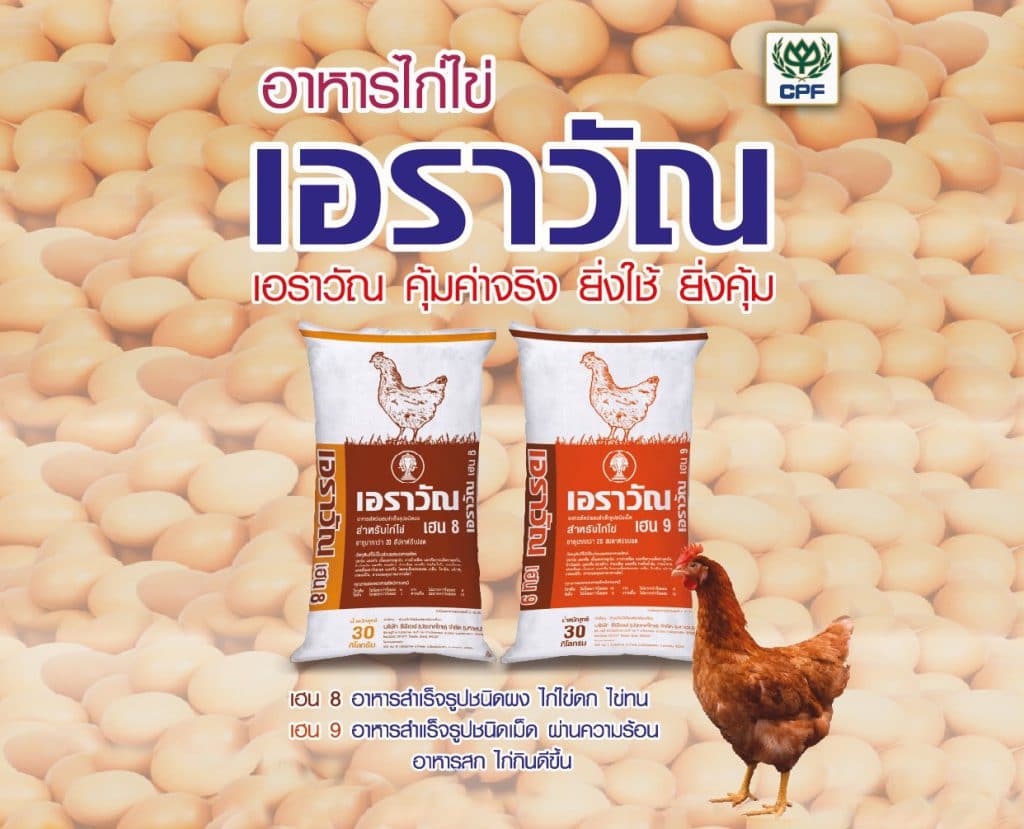 อาหารไก่ไข่ เอราวัณ