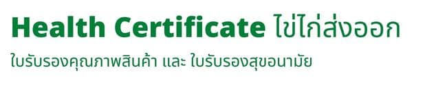 Health Certificate ไข่ไก่ส่งออก banner