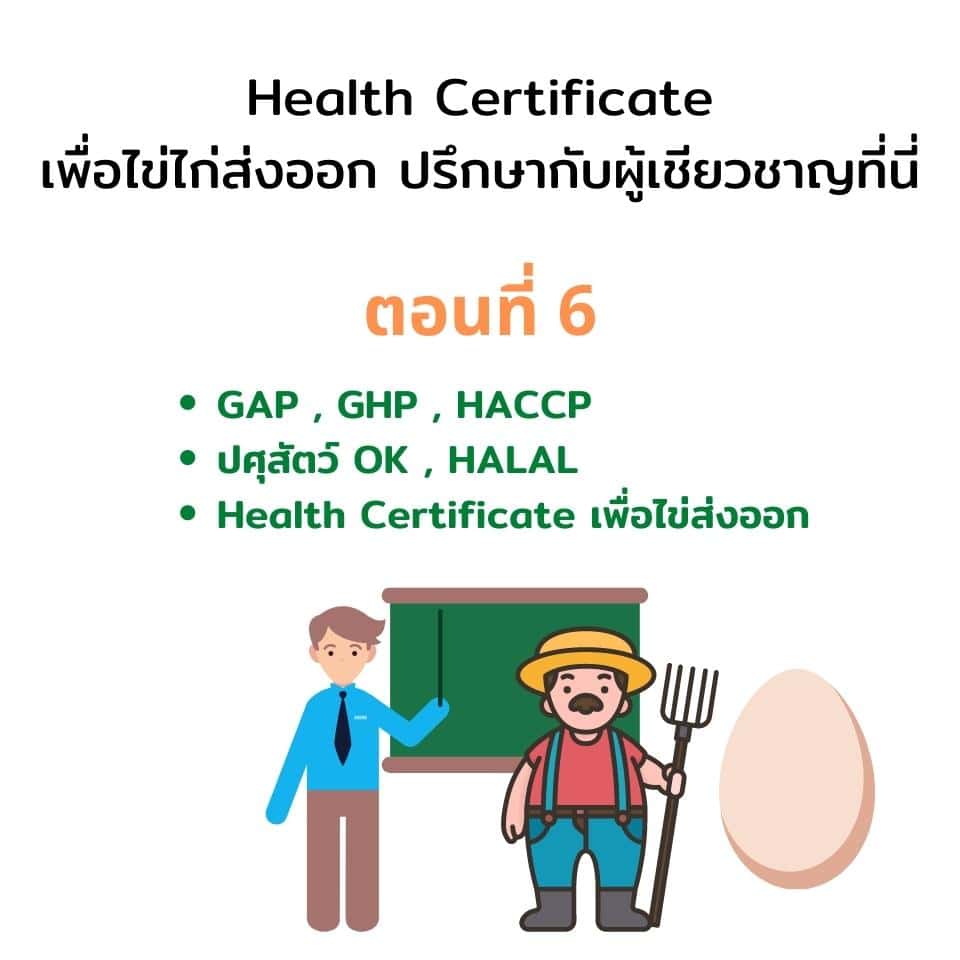 Health Certificate ไข่ไก่ส่งออก